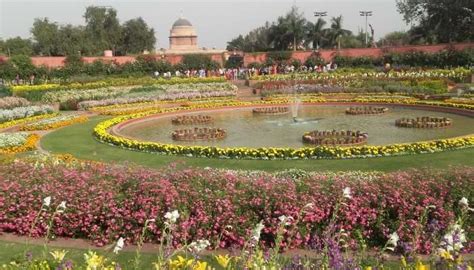  Images of Mughal Gardens: A Kaleidoscopic Journey Through Horticultural Splendor